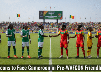 An image showing Falcons to Face Cameroon in Thrilling Pre-WAFCON Friendlies