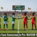 An image showing Falcons to Face Cameroon in Thrilling Pre-WAFCON Friendlies